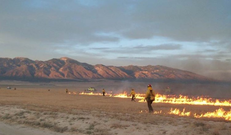 A prescribed burn in Texas